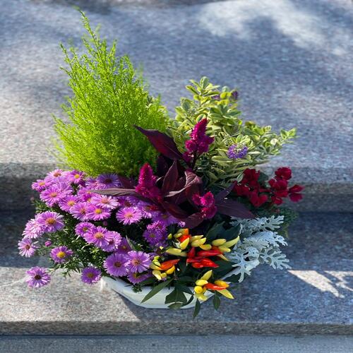 composition florale de saison avec cyprès sur sépulture propre