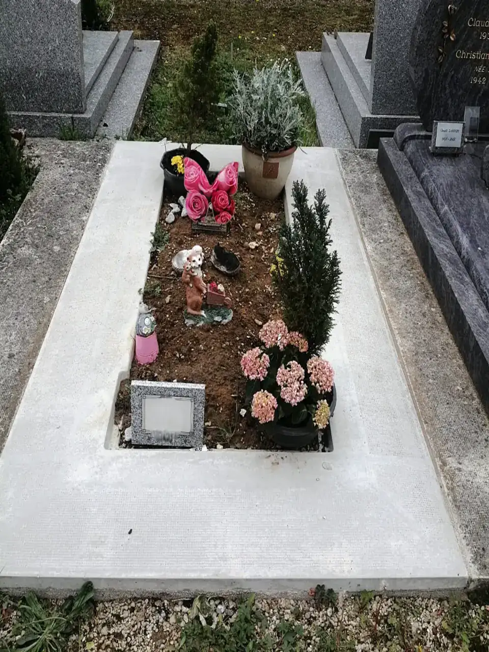tombe pleine terre